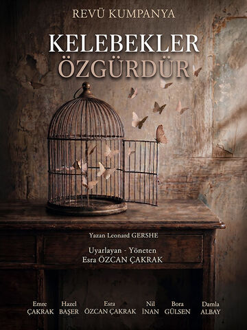 Kelebekler Özgürdür afişi