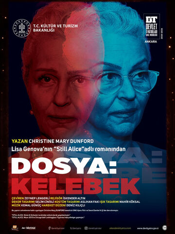 Dosya: Kelebek afişi