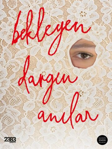 Bekleyen Dargın Anılar afişi