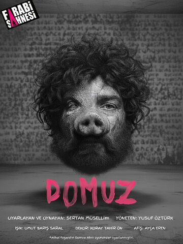 Domuz afişi