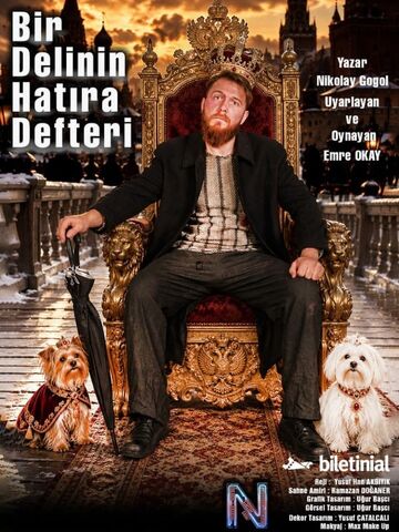 Bir Delinin Hatıra Defteri – Emre Okay afişi