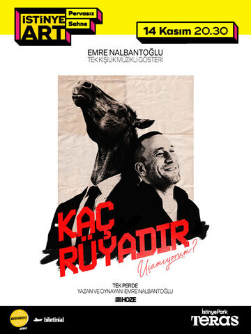 Emre Nalbantoğlu “Kaç Rüyadır Uçamıyorum?” afişi