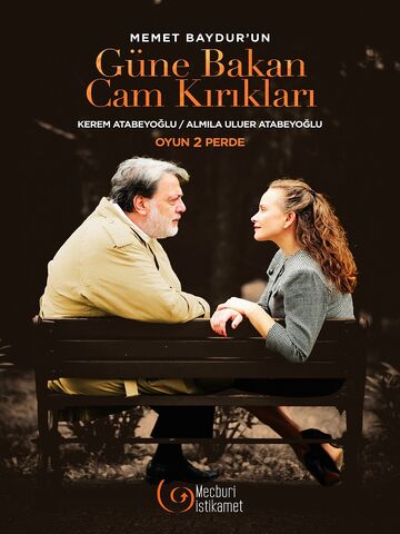 Güne Bakan Cam Kırıkları afişi