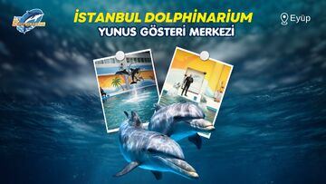 İstanbul Dolphinarium Yunus Gösterileri afişi