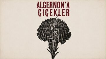Algernona Çiçekler afişi