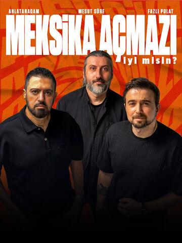 Meksika Açmazı – İyi Misin? afişi