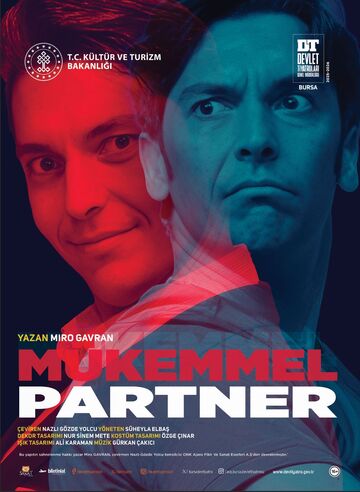 Mükemmel Partner afişi