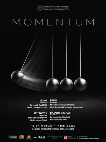 Momentum – İstanbul DOB afişi