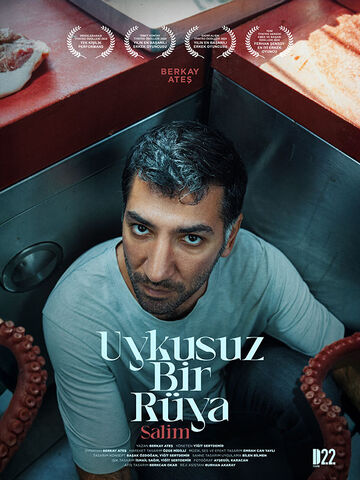 Uykusuz Bir Rüya, Salim afişi