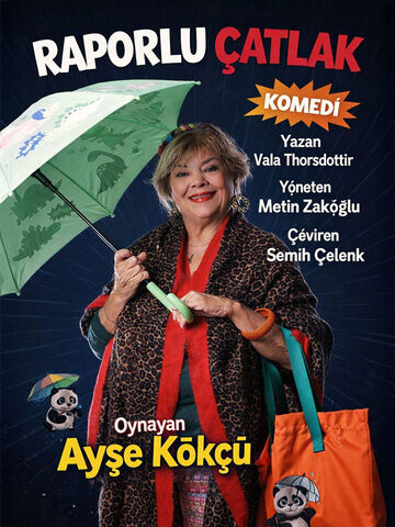 Raporlu Çatlak afişi