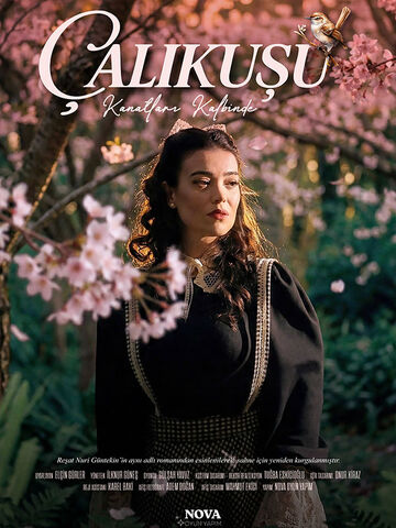 Çalıkuşu – Kanatları Kalbinde afişi