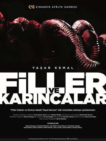 Filler ve Karıncalar afişi
