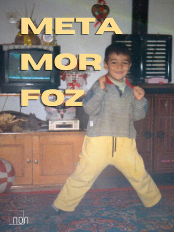 Metamorfoz afişi
