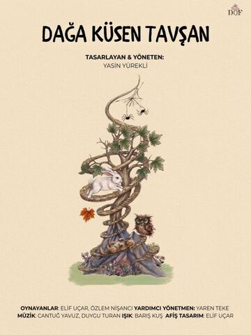 Dağa Küsen Tavşan afişi