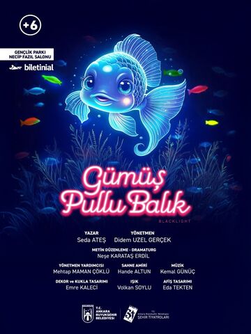 Gümüş Pullu Balık (Çocuk Oyunu) afişi