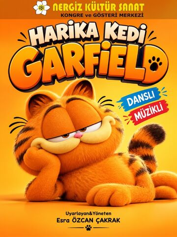 Harika Kedi Garfield afişi