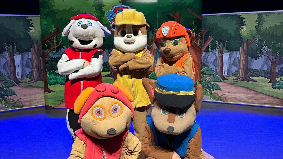 Paw Patrol Görev Zamanı sahne fotoğrafı 1