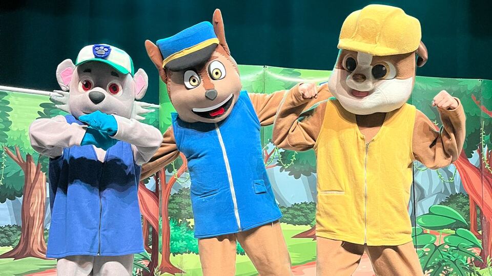 Paw Patrol Görev Zamanı sahne fotoğrafı 2