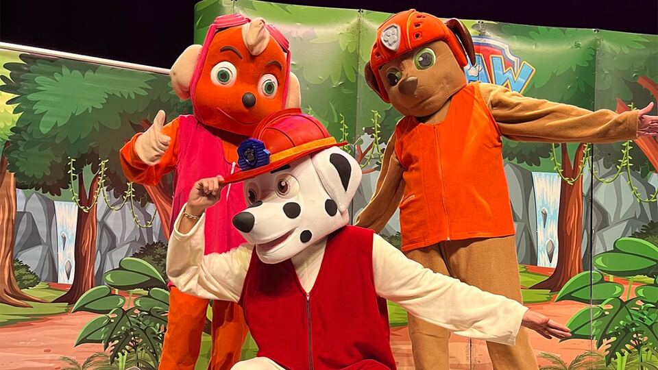 Paw Patrol Görev Zamanı sahne fotoğrafı 3