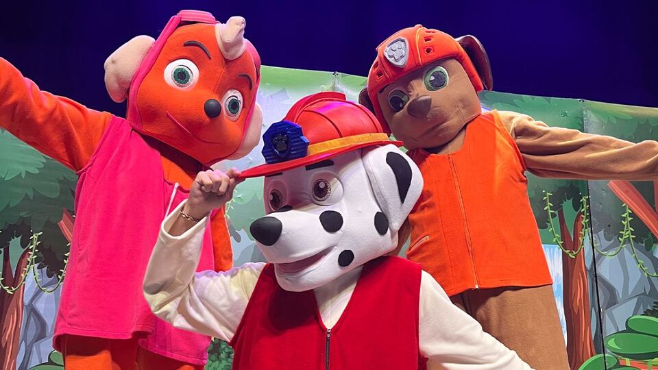 Paw Patrol Görev Zamanı sahne fotoğrafı 4