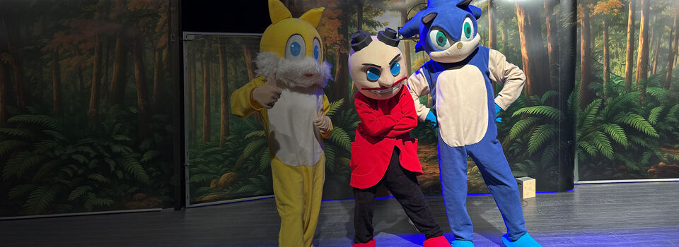 Sonic Orman Macerası sahne fotoğrafı 1