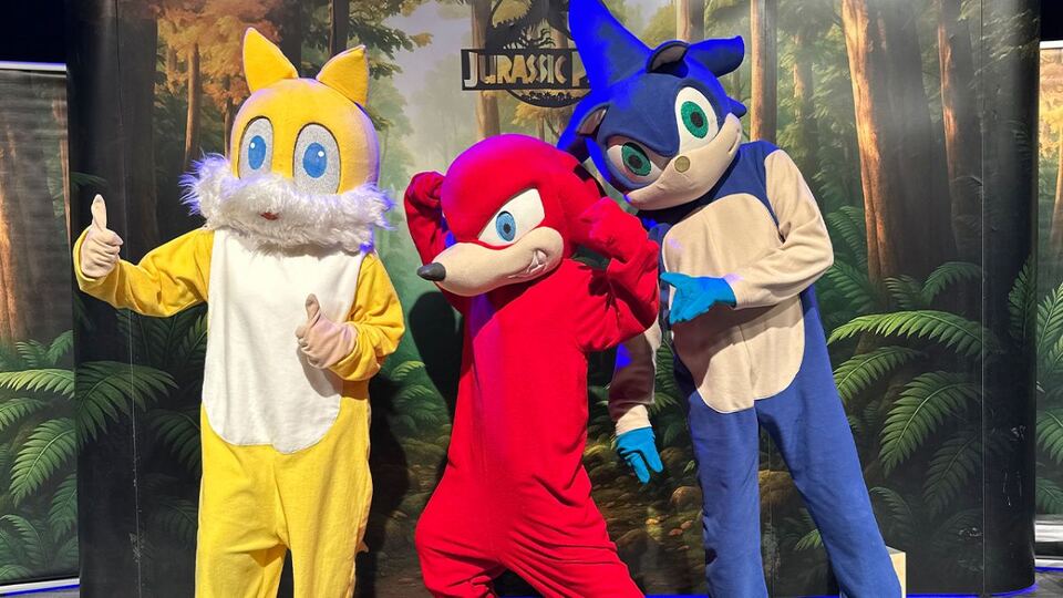 Sonic Orman Macerası sahne fotoğrafı 3
