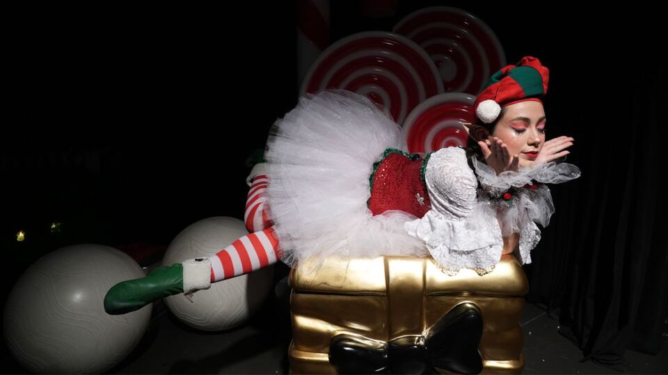 Ho Ho Ho! Müzikali sahne fotoğrafı 3